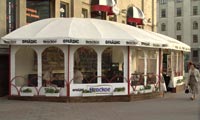 Павильон эксклюзивный 5х15 м